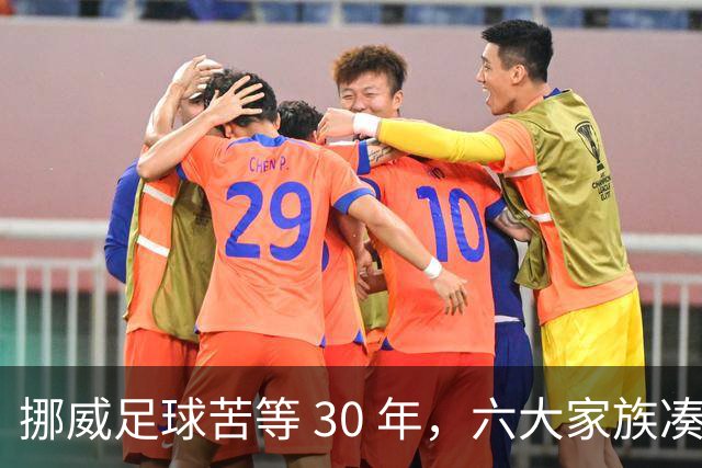 挪威足球苦等 30 年，六大家族凑世界杯主力，老国脚有啥绝招？